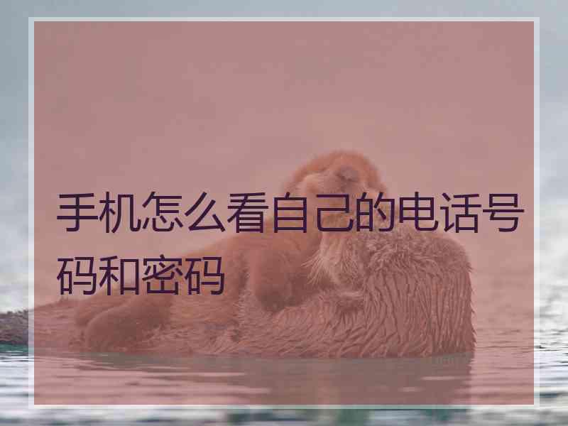 手机怎么看自己的电话号码和密码