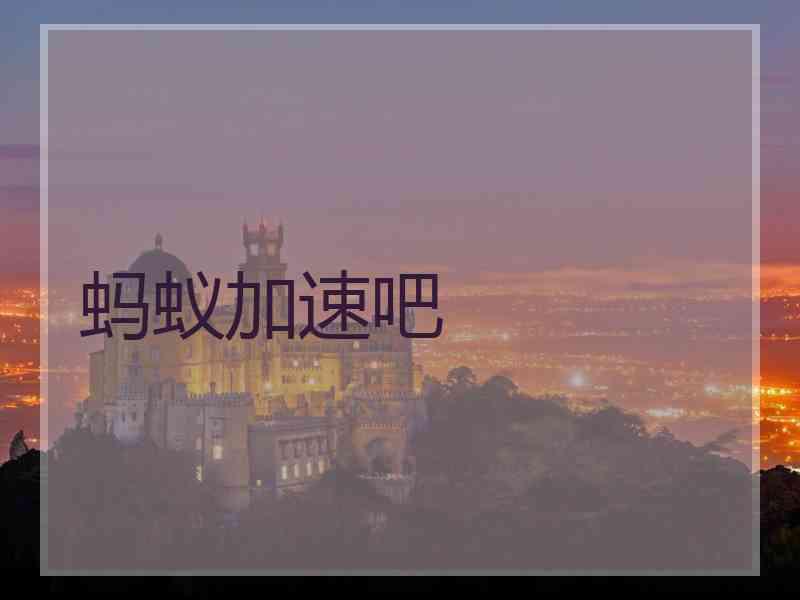 蚂蚁加速吧