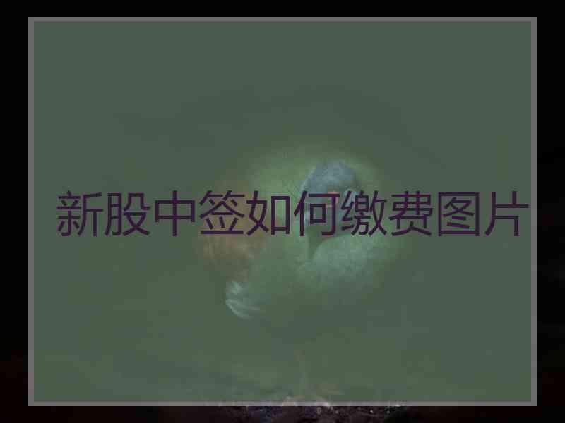 新股中签如何缴费图片