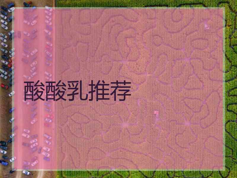 酸酸乳推荐