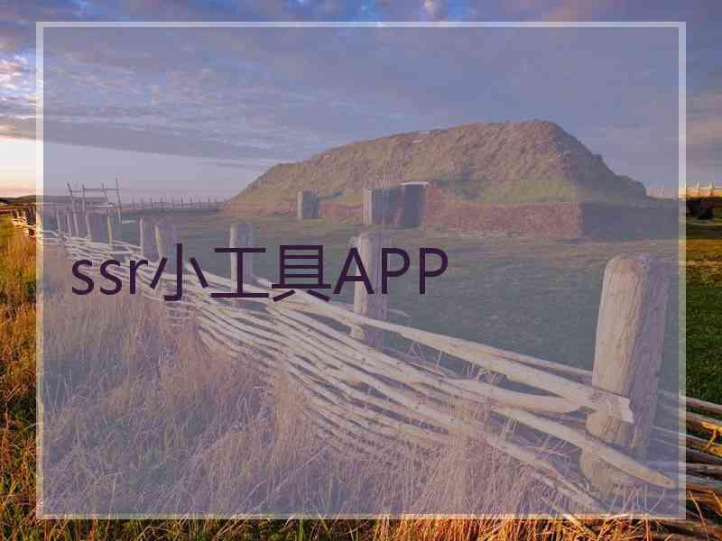 ssr小工具APP