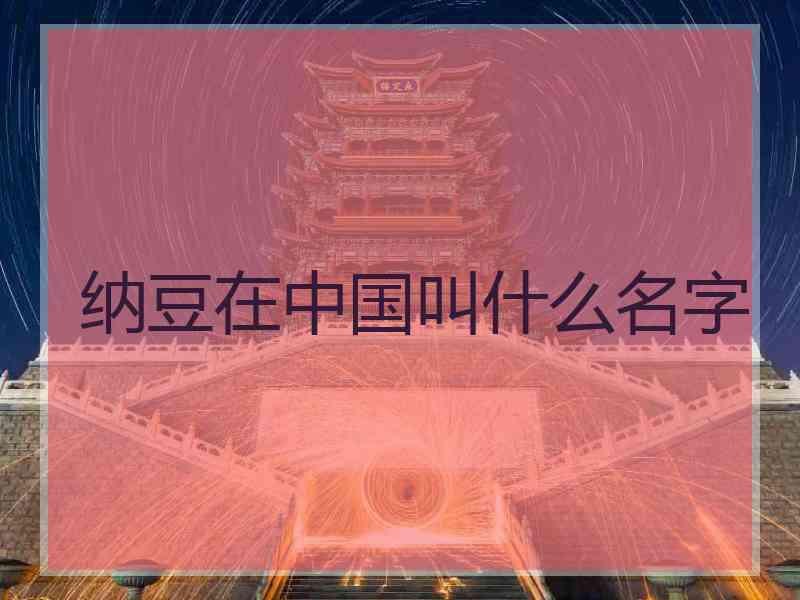 纳豆在中国叫什么名字
