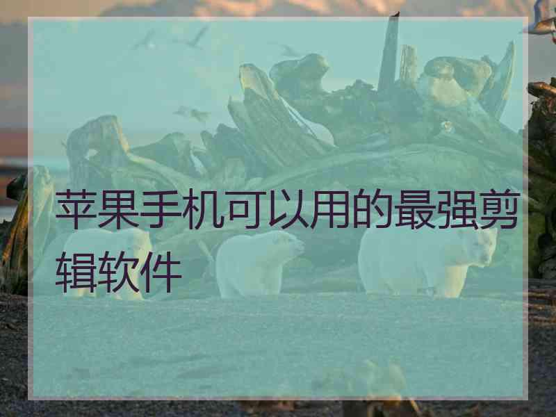 苹果手机可以用的最强剪辑软件