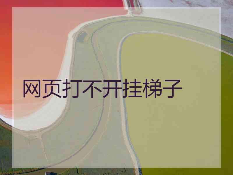 网页打不开挂梯子
