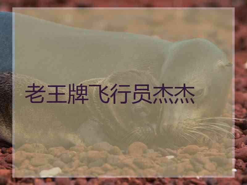 老王牌飞行员杰杰
