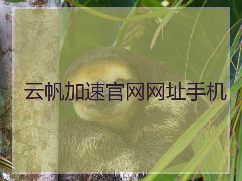 云帆加速官网网址手机