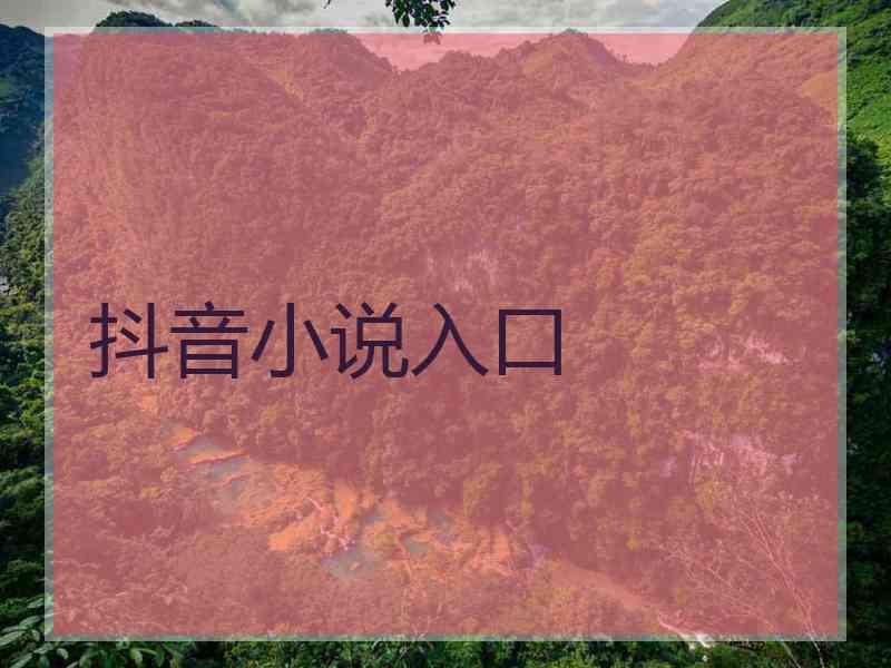 抖音小说入口