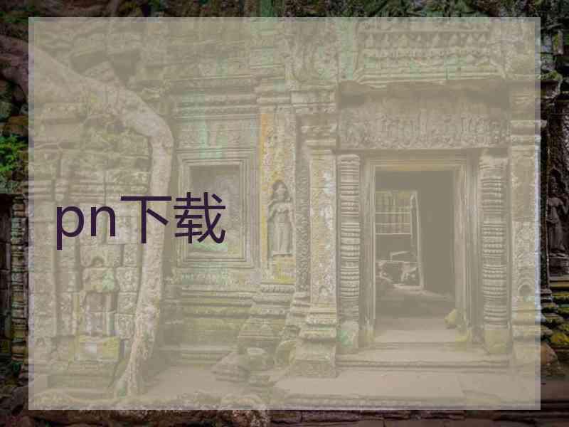 pn下载