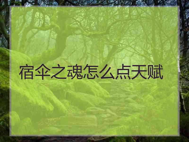 宿伞之魂怎么点天赋