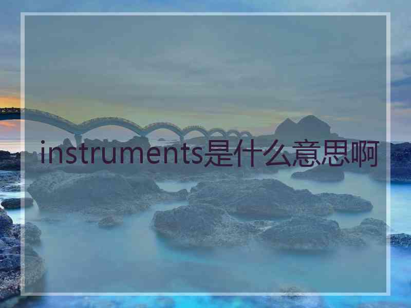 instruments是什么意思啊