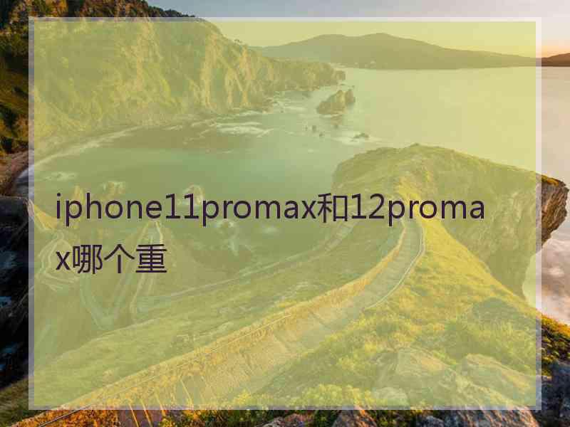 iphone11promax和12promax哪个重