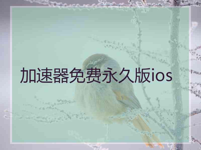 加速器免费永久版ios