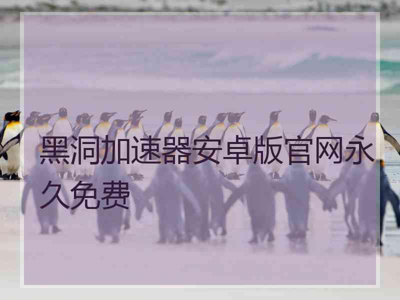 黑洞加速器安卓版官网永久免费