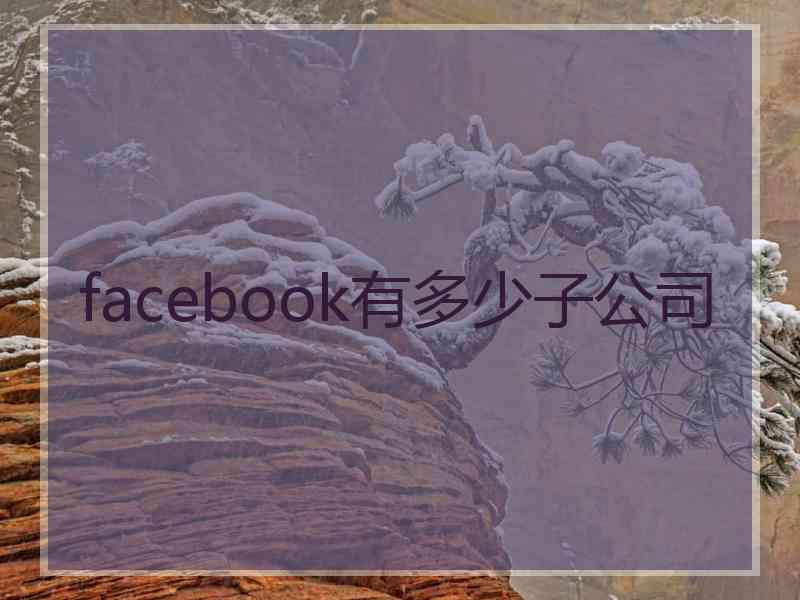 facebook有多少子公司