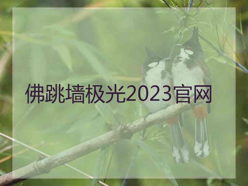 佛跳墙极光2023官网