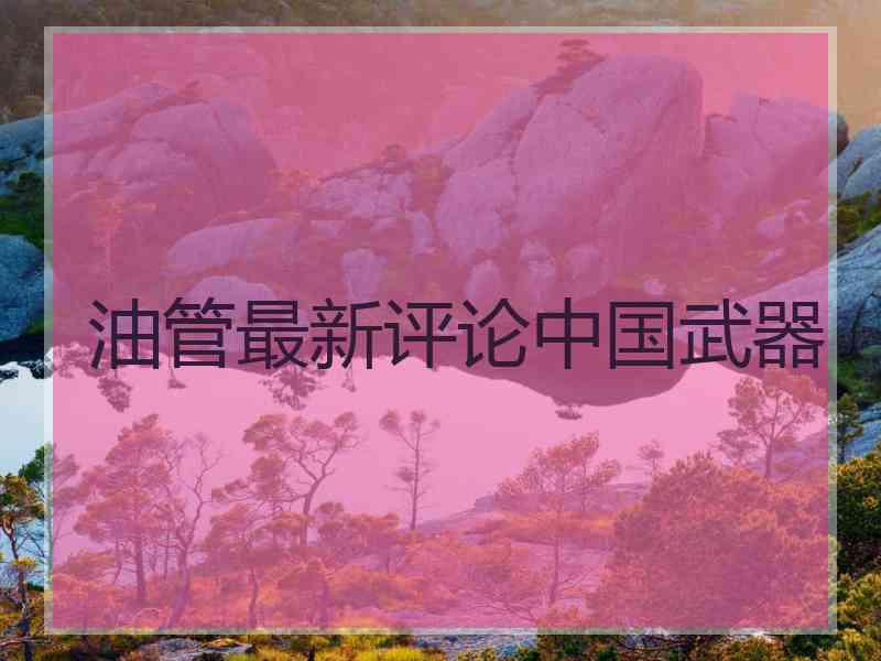 油管最新评论中国武器