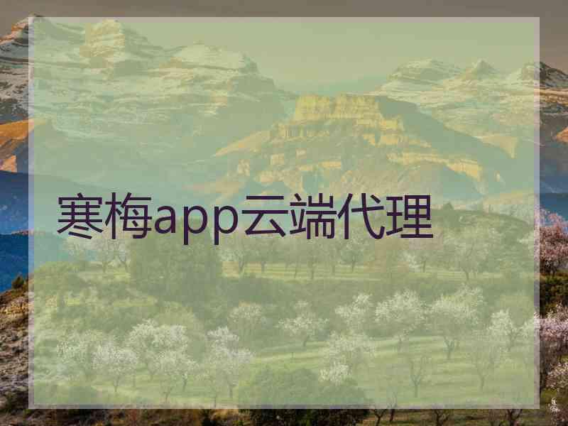 寒梅app云端代理
