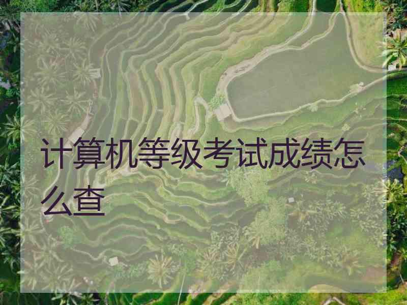 计算机等级考试成绩怎么查