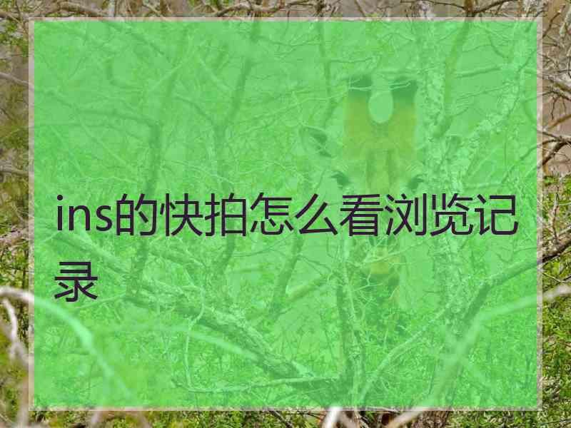ins的快拍怎么看浏览记录