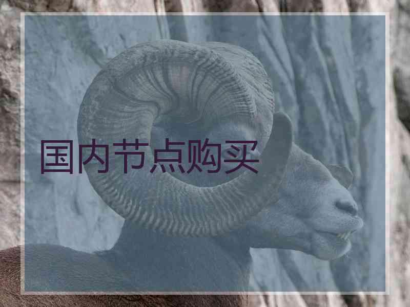 国内节点购买