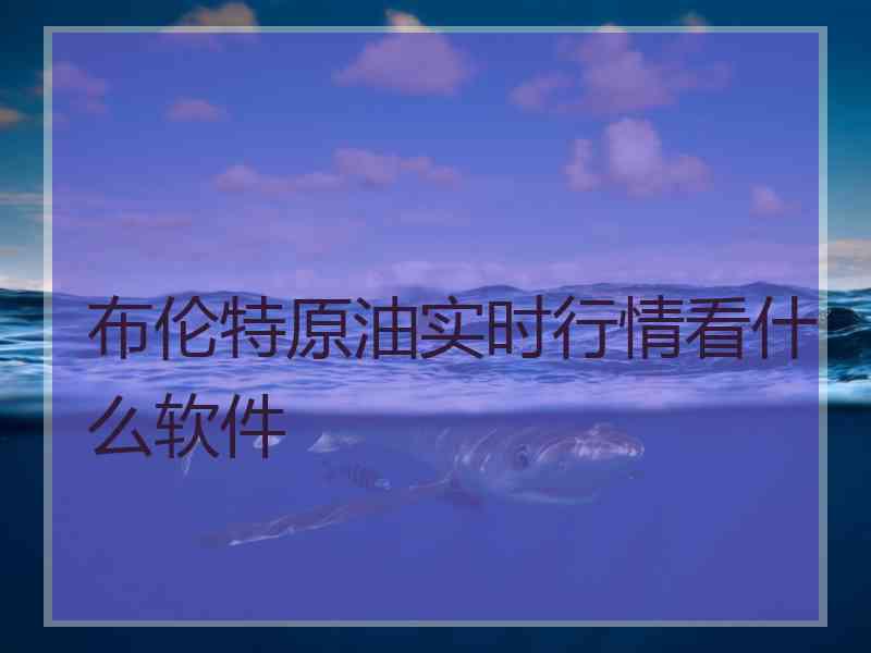 布伦特原油实时行情看什么软件