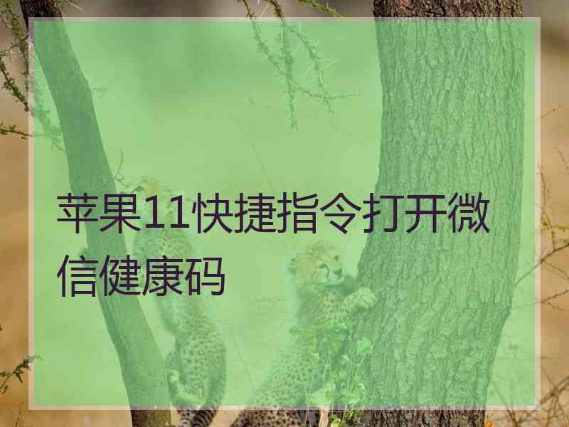 苹果11快捷指令打开微信健康码