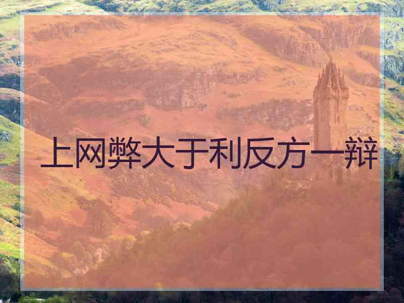 上网弊大于利反方一辩