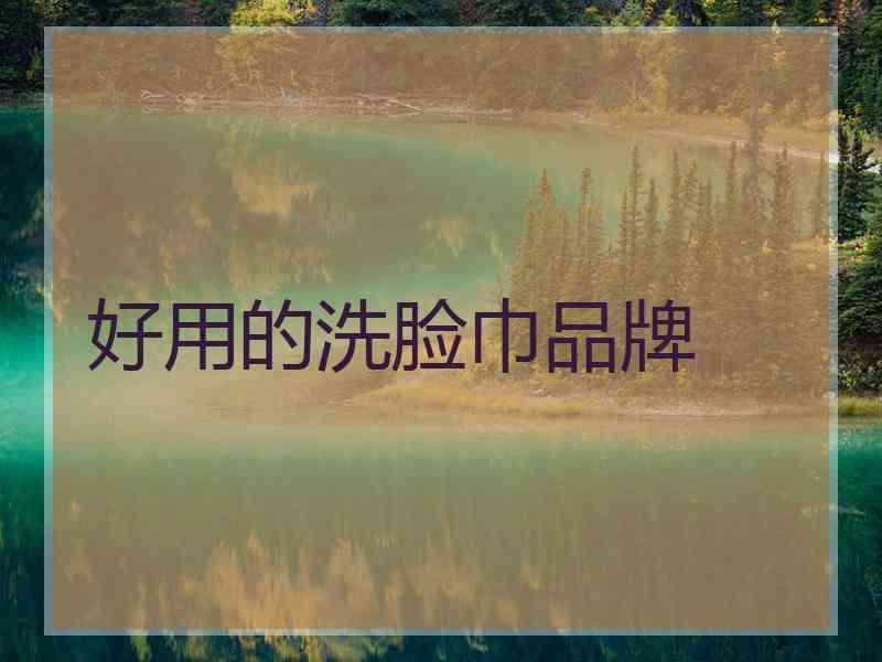 好用的洗脸巾品牌