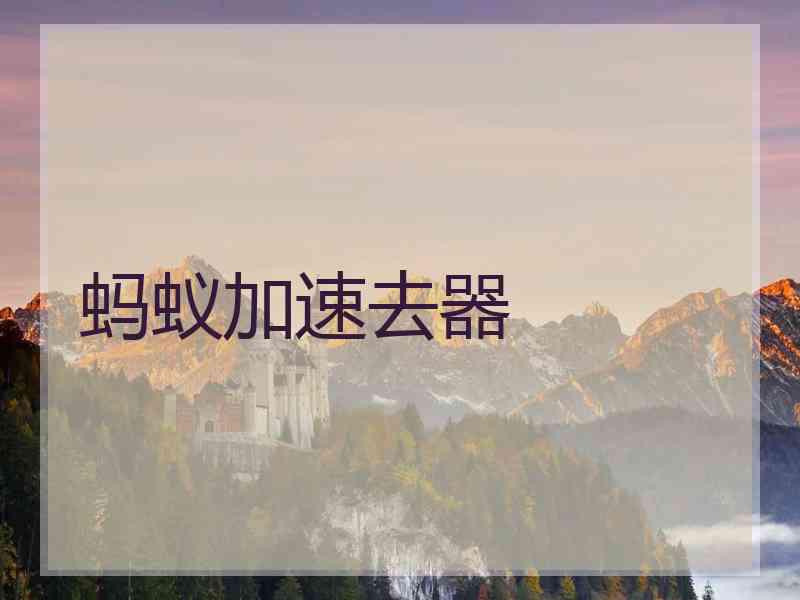 蚂蚁加速去器