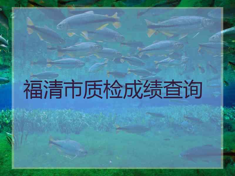 福清市质检成绩查询