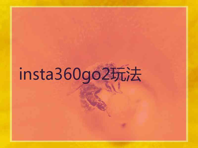 insta360go2玩法