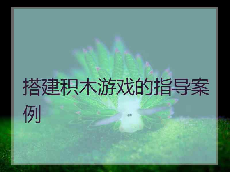 搭建积木游戏的指导案例