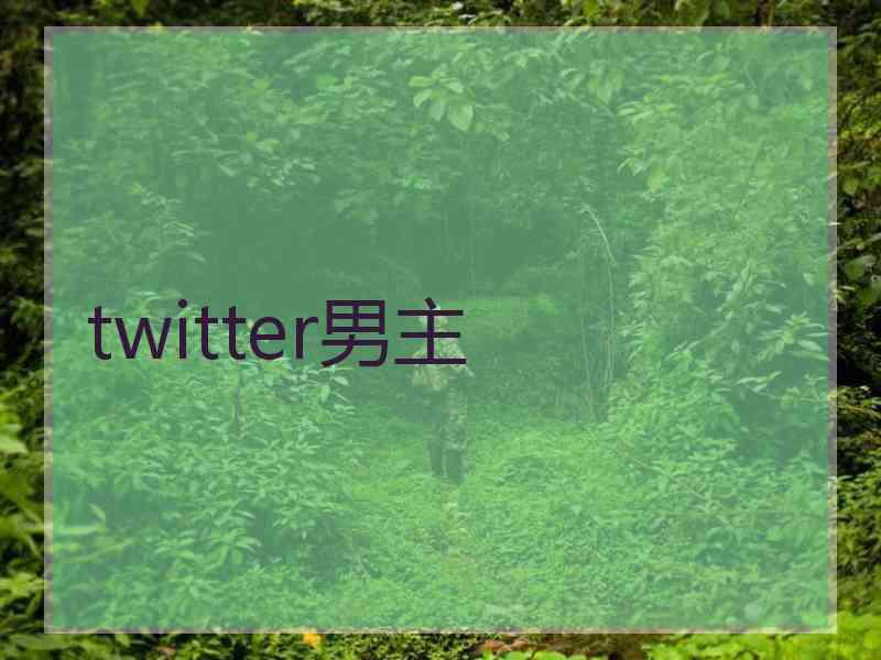 twitter男主