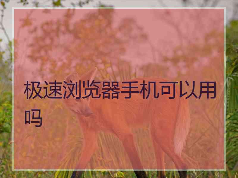 极速浏览器手机可以用吗