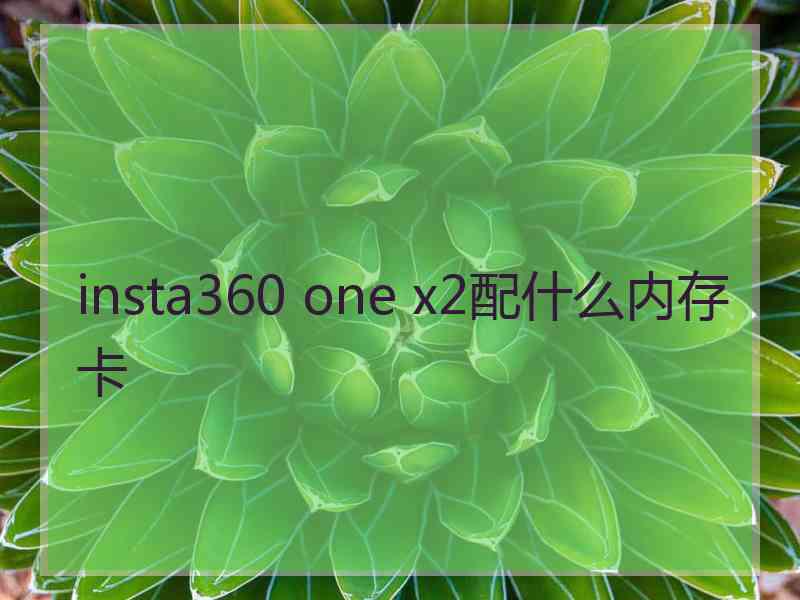 insta360 one x2配什么内存卡