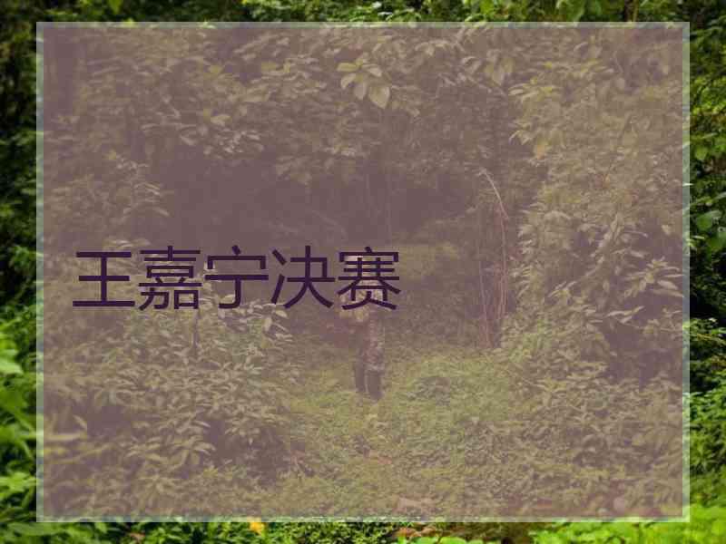 王嘉宁决赛