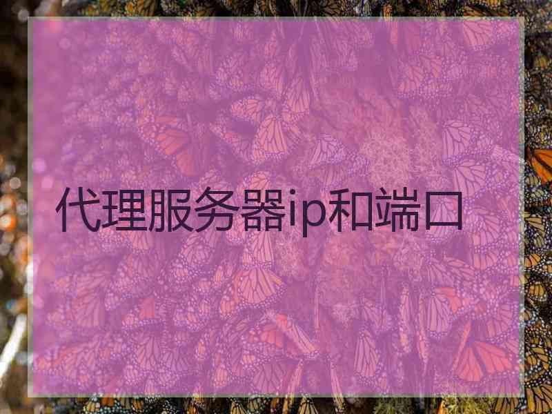 代理服务器ip和端口