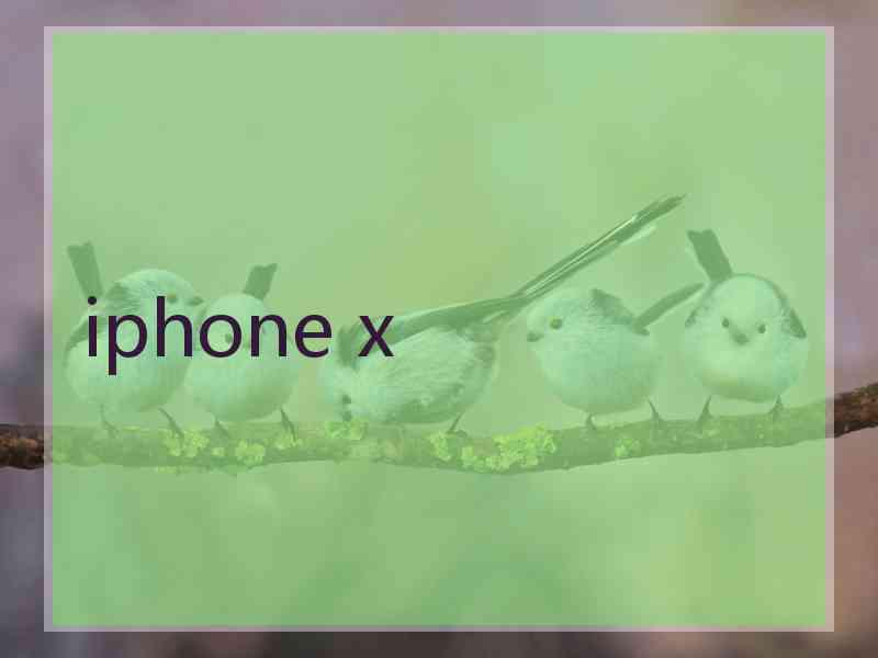 iphone x