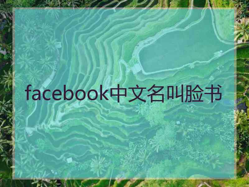 facebook中文名叫脸书