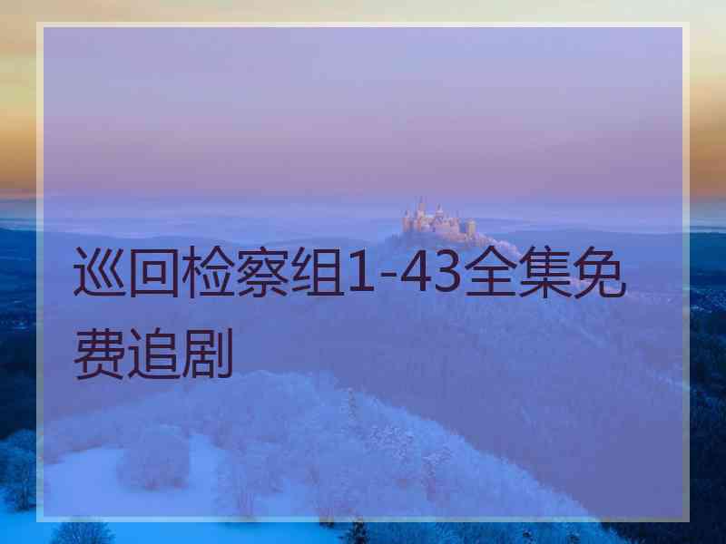 巡回检察组1-43全集免费追剧