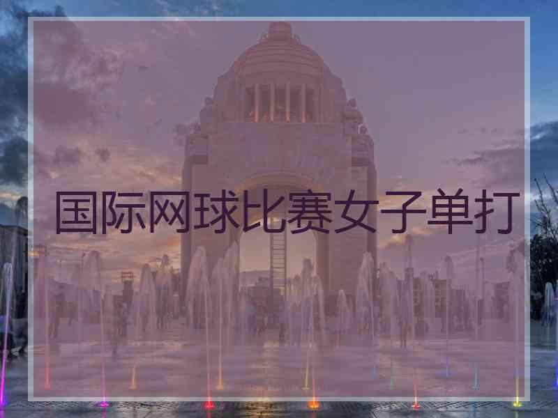 国际网球比赛女子单打