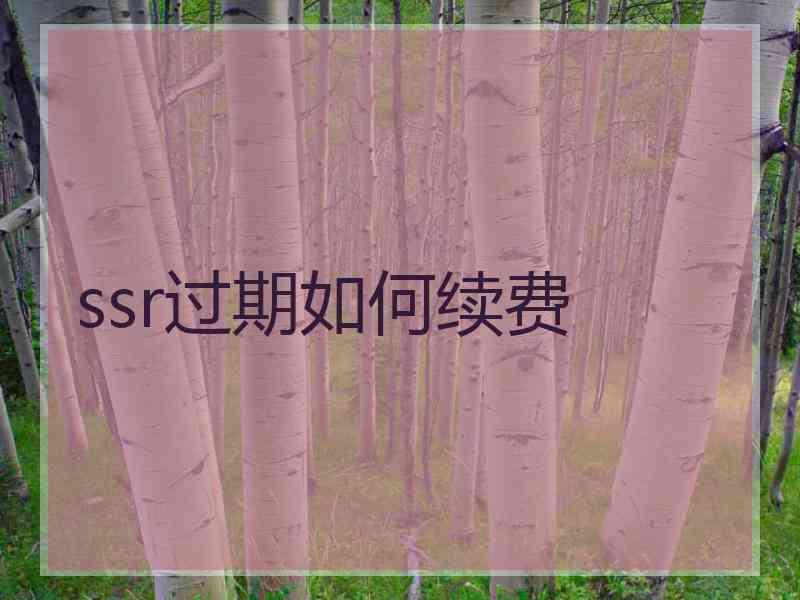 ssr过期如何续费