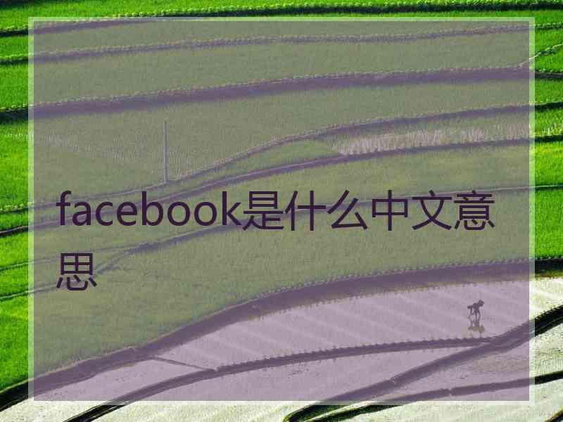 facebook是什么中文意思