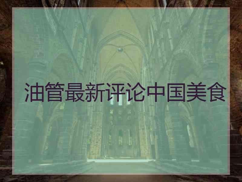 油管最新评论中国美食