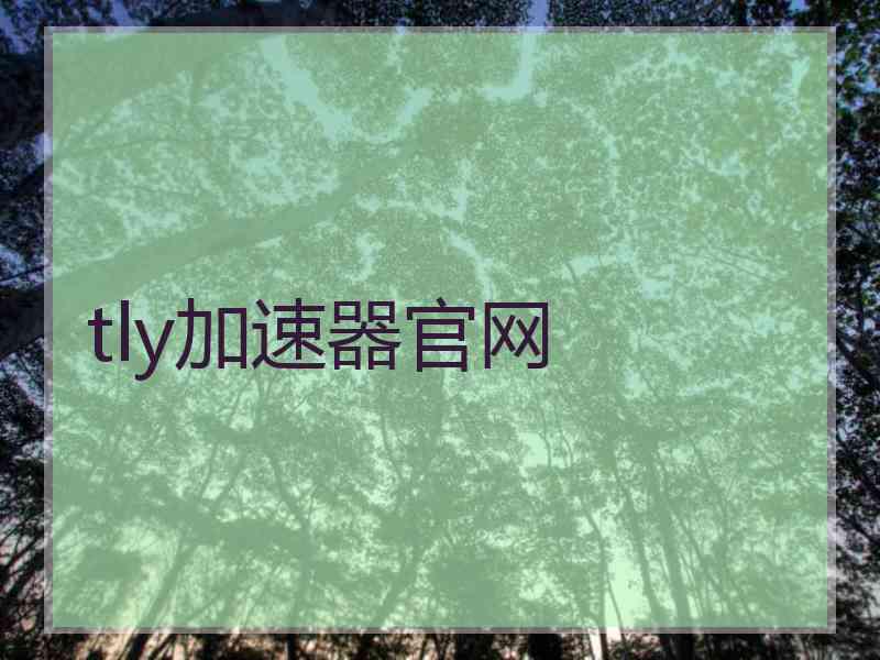 tly加速器官网