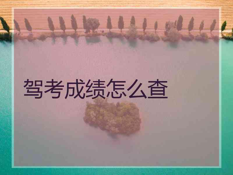 驾考成绩怎么查