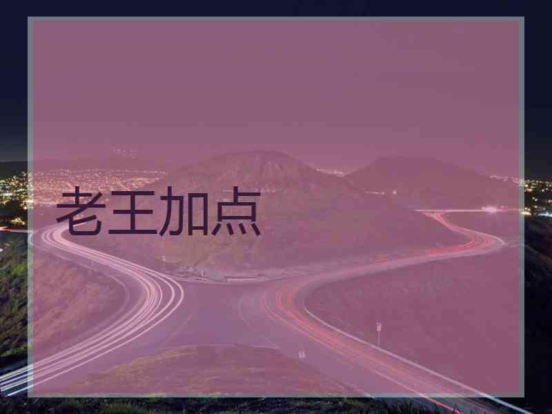 老王加点