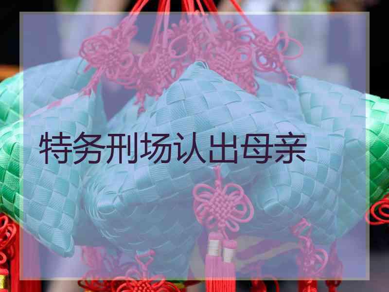 特务刑场认出母亲