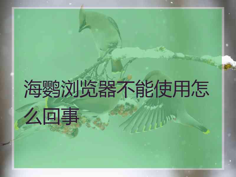 海鹦浏览器不能使用怎么回事