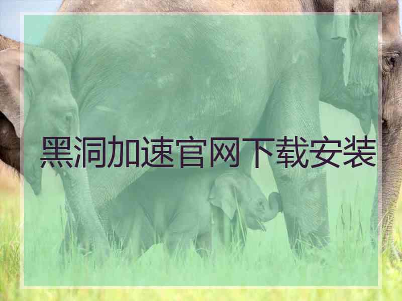 黑洞加速官网下载安装